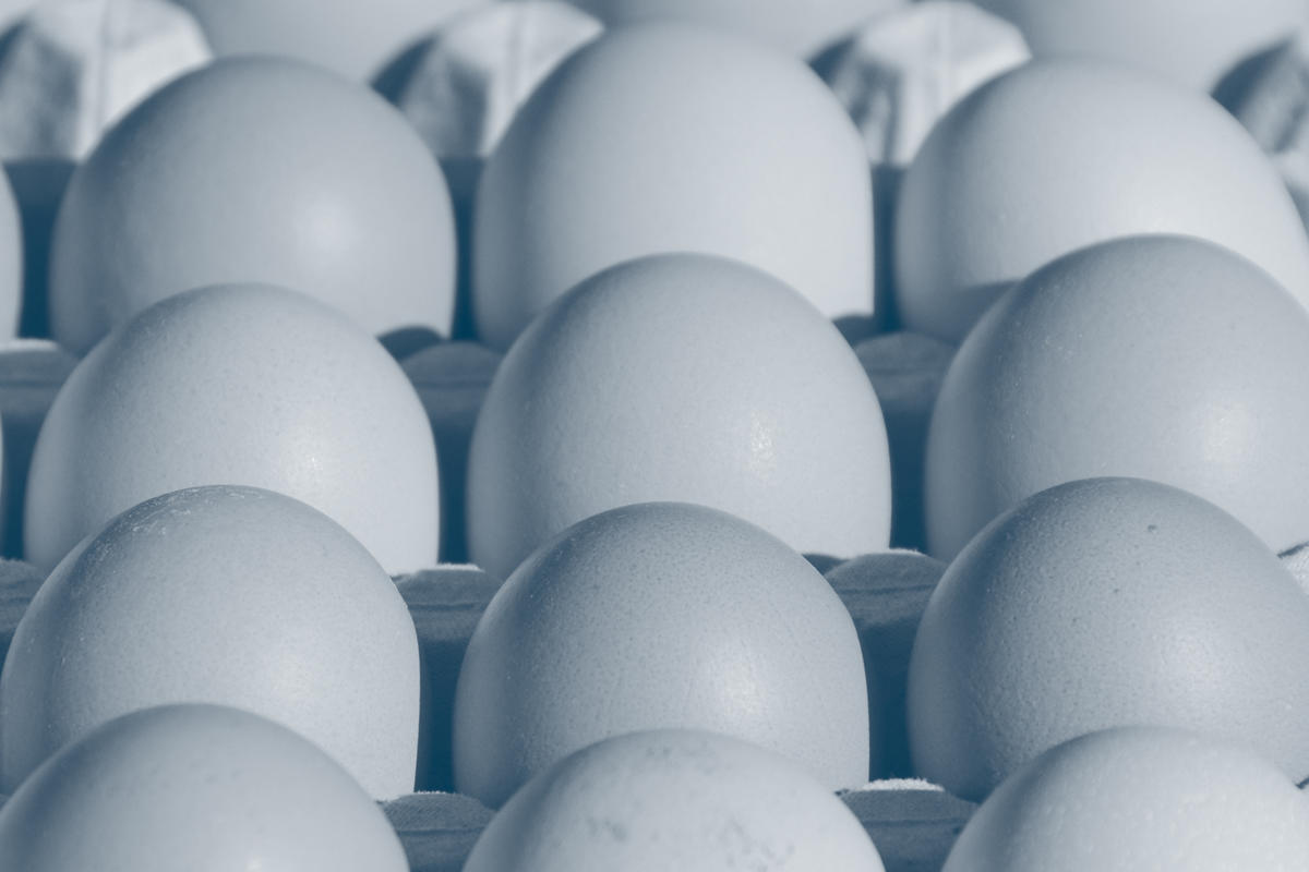 Verbraucherschutz - Eier - Symbolbild