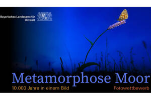 Bild vergrößern: Fotowettbewerb Metamorphose Moor